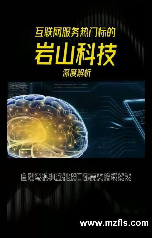 岩山科技｜互联网服务热门标的
