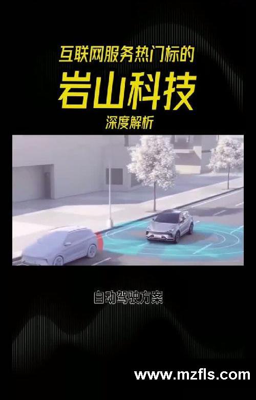 岩山科技｜互联网服务热门标的